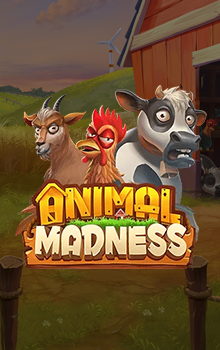 Animal Madness