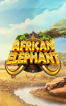 African Elephant