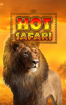 Hot Safari