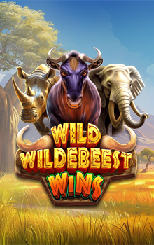 Wild Wildebeest Wins