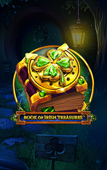 Book Of Irish Treasures